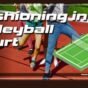 The Cost Benefits of Investing in Synthetic Volleyball Court Flooring