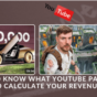 Want to Know What YouTube Pays? Learn to Calculate Your Revenue Now!