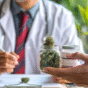 Medical Marijuana Card Renewal Without a Prior Diagnosis: Is It Possible?