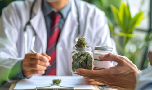 medical marijuana card renewal