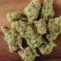 Discover the Popular Jealousy Strain: Jealousy Runtz Strain, Banana Jealousy Strain, KY Jealousy Strain, and Banana Jealousy Cake Strain