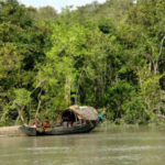 sundarban trip