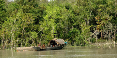 sundarban trip