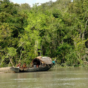 Discover the Wild Beauty of Sundarbans with the Right Travel Plan